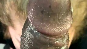 retro bbw compilation of luxurious sluts slurping massive bbc outdoors in public