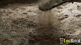 stable boy ravishes sexy brunette babe in wild passion