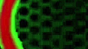 Ada Vera shakes massive ass riding Rome Major's monster BBC deep