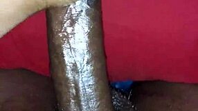 ever fantasized about big black cock exploding cumshots all over your wildest dreams?