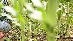 i get sassy in mia's corn field for outdoor pussy sex pounding