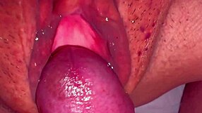 i finally fuck my wife's shaved pink pussy 347 days post virginity loss