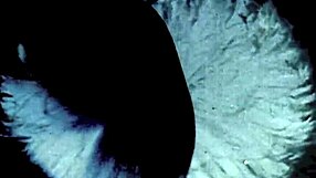 i confess my victorian secret life with vintage erotic foursomes