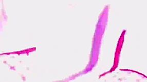 obsessed with this goddess in fishnets and stockings dominating hard 😈🔥