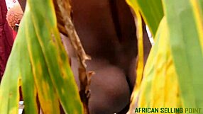 fat black pussy stretched wide by monster african cock in doggystyle heat