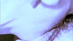 i confess my victorian secret life with vintage erotic foursomes