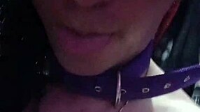 shery ladyboy strips natural in hot compilation