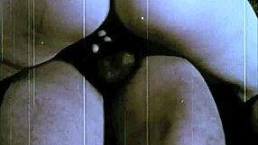 i confess my victorian secret life with vintage erotic foursomes