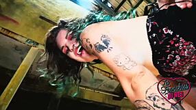 analeya and trixy share stallion cock with big tits anal assfucking fun