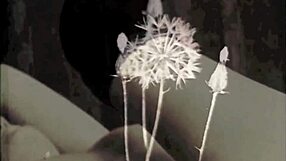 ever seen hairy pussy bondage blowjobs in antique retro porn world