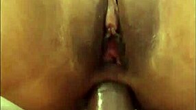 brutal anal highlights with bent over latina slut doggystyle pounding