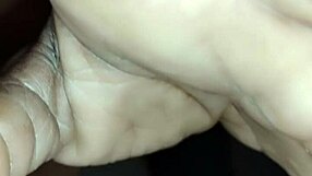 back in another room making a total mess like my scorpio wolf and pet dog