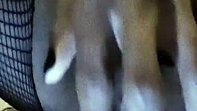 tavaius deshawn's ebony emo shemale fan jerks her small tits