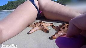 i remotely buzz vibrator making my nude bbw wife orgasm on beach