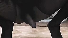 tavaius deshawn's ebony emo shemale fan jerks her small tits