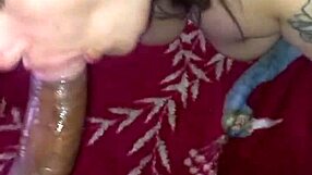 Black Lover Fills Blonde Latina's Mouth Then Pounds Her Tight Pussy Doggystyle