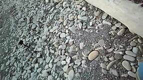 i'm sofi tied up against the sea reading my book in this hot pov view