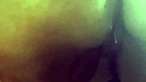 ava knightly's big ass ebony curves shine in full homemade video