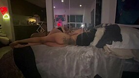 Slutty Porn Babes Dive Into Wild Group Orgy Action