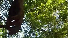 imagine this sexy mature bbw just sucking cock deep in the forest... want some?