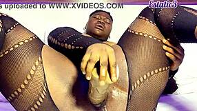 Horny Cute Big Ass Girl Masturbates Wild with Dildo in Lingerie