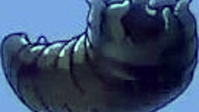 cosplay gamer octokuro's huge tits lead to lesbian scissoring and squirting frenzy