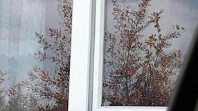 i strip naked in taxi without panties for voyeur driver watching my hairy milf pussy