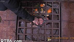 Pretty babe bound for rough facial punishment?