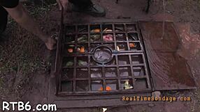 Pretty babe bound for rough facial punishment?