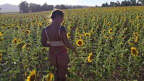 Transando Na Plantação De Girassóis Com Damiana Safada!