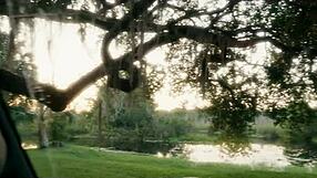 submissive slut crawls from lagoon on knees for ass licking rimjob and piss swallowing