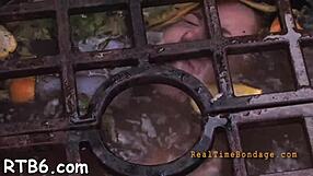 Pretty babe bound for rough facial punishment?