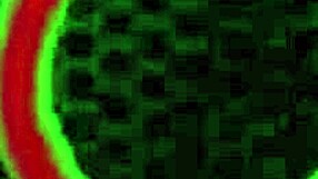 oh god finger fucking sisi pesos wet pussy takes rome majors huge bbc rough doggystyle