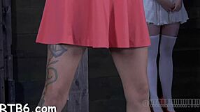 i'm taming my leather pet just right