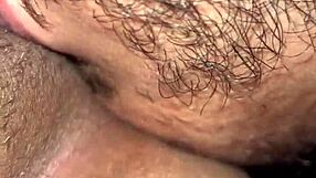 What a Delight Sucking My Stepmom's Big Sexy Pussy Lips