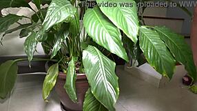 German Amateur Babes Tease Foot Fetish Pickup Outdoors