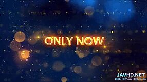 japanese curly pussies shine in latest vol 47