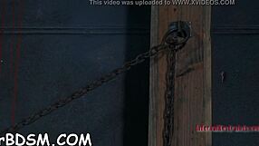 slamming rough cock deep into babe's tight wet slit