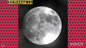 hugomontador pounds hot trans ass anal crossdressing bareback