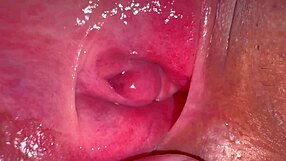 pink shaved pussy closeup 275 days post-virginity loss, ready for licking?