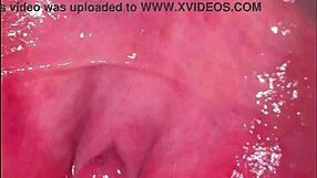 pink shaved pussy closeup 275 days post-virginity loss, ready for licking?