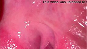 pink shaved pussy closeup 275 days post-virginity loss, ready for licking?