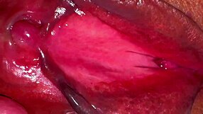 pink shaved pussy closeup 275 days post-virginity loss, ready for licking?