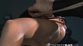 Hot Young Sasha Grey Bound In BDSM Lingerie Takes Interracial Group Anal Spanking Deepthroat Cumshot