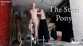 Blindfolded Shaved Slave Bound on Steel Pony Multiple Orgasms