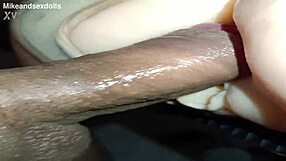 trailer quickie anal fuck with candy spreading huge ass in beige panties on desk