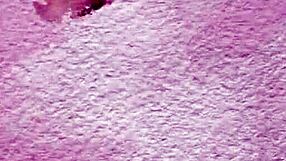 that big ass milf in lingerie poses her naked curves so tempting