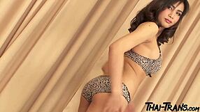 Asian Shemale Big Tits Strokes Dick Hard - You Next?!