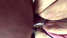 damn check this big juicy fat ass bbw milf flashing her curvy booty in public then taking stranger bbc creampie in car