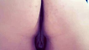 chubby dominican latina bends over in shorts for doggystyle anal she craves with ass shaking cunilingus